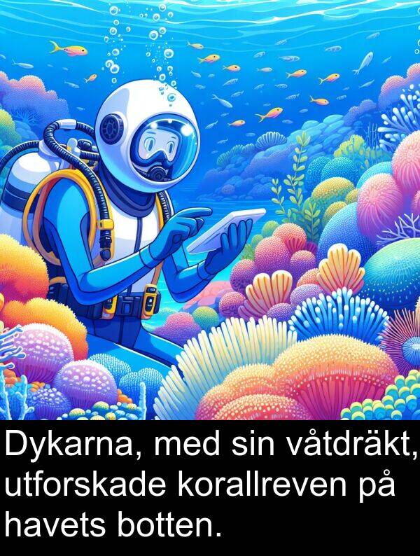 utforskade: Dykarna, med sin våtdräkt, utforskade korallreven på havets botten.