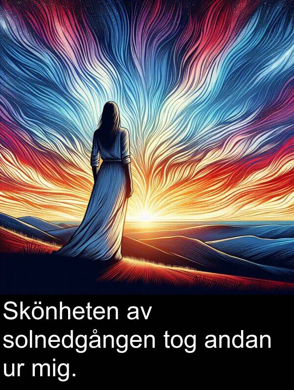 tog: Skönheten av solnedgången tog andan ur mig.
