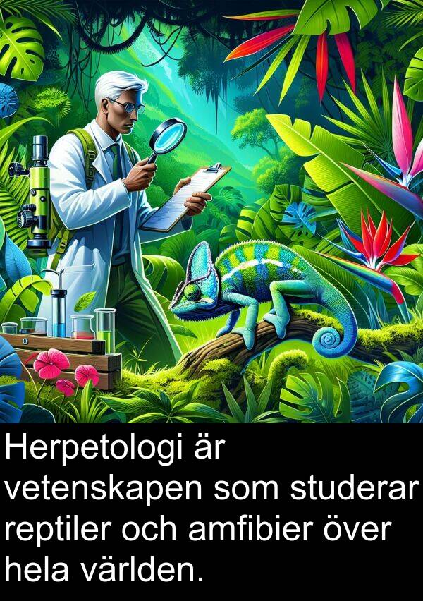 vetenskapen: Herpetologi är vetenskapen som studerar reptiler och amfibier över hela världen.