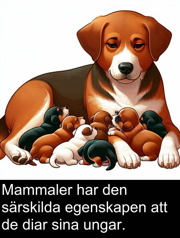 ungar: Mammaler har den särskilda egenskapen att de diar sina ungar.