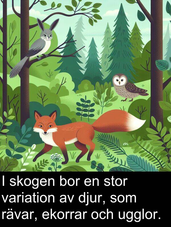 ugglor: I skogen bor en stor variation av djur, som rävar, ekorrar och ugglor.