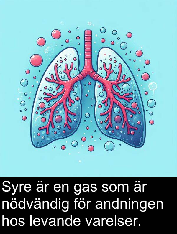 gas: Syre är en gas som är nödvändig för andningen hos levande varelser.