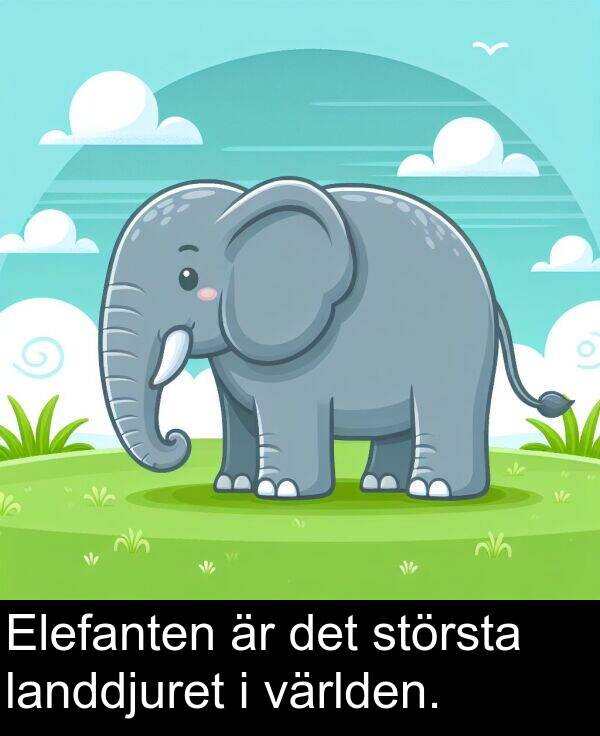 landdjuret: Elefanten är det största landdjuret i världen.