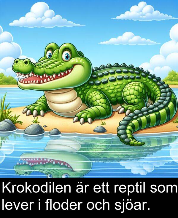 sjöar: Krokodilen är ett reptil som lever i floder och sjöar.