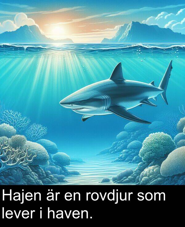 som: Hajen är en rovdjur som lever i haven.