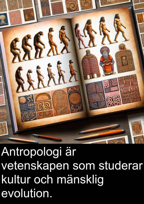 vetenskapen: Antropologi är vetenskapen som studerar kultur och mänsklig evolution.