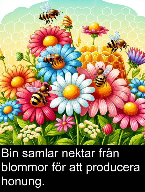 honung: Bin samlar nektar från blommor för att producera honung.