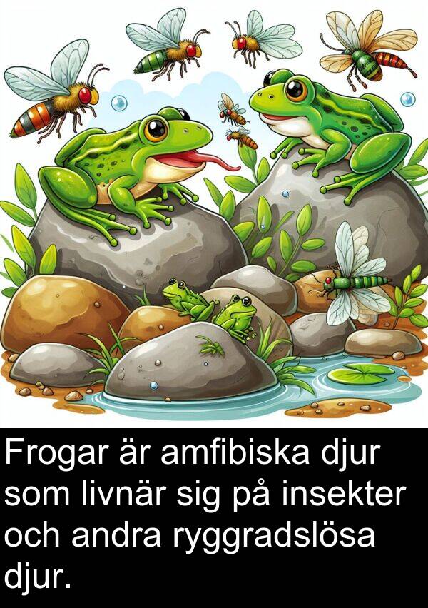 amfibiska: Frogar är amfibiska djur som livnär sig på insekter och andra ryggradslösa djur.