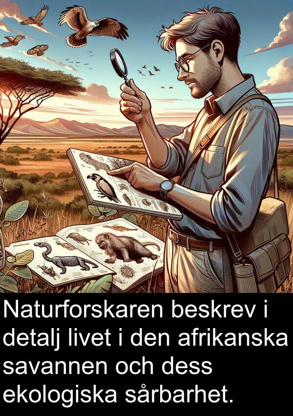 afrikanska: Naturforskaren beskrev i detalj livet i den afrikanska savannen och dess ekologiska sårbarhet.