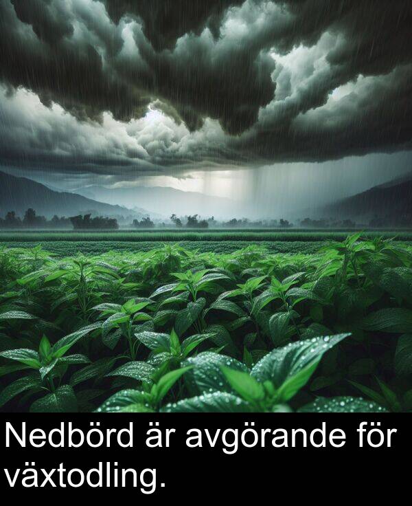 växtodling: Nedbörd är avgörande för växtodling.