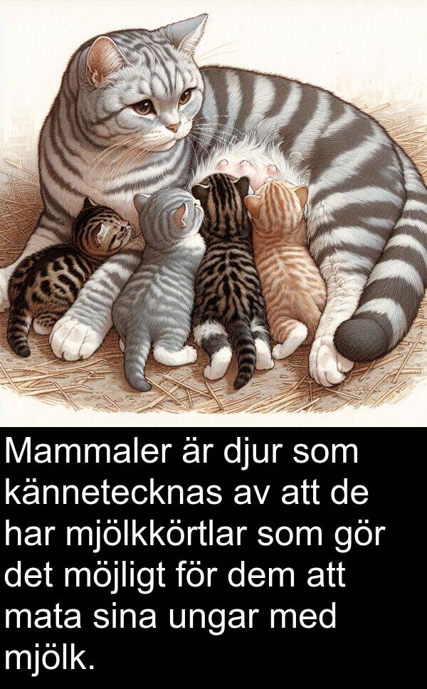 mata: Mammaler är djur som kännetecknas av att de har mjölkkörtlar som gör det möjligt för dem att mata sina ungar med mjölk.