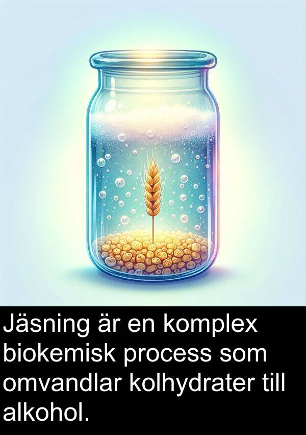 alkohol: Jäsning är en komplex biokemisk process som omvandlar kolhydrater till alkohol.