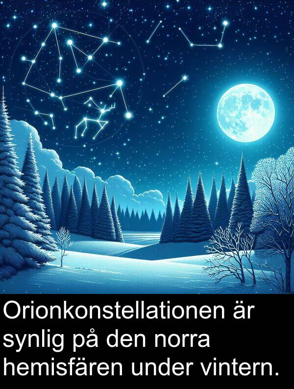 vintern: Orionkonstellationen är synlig på den norra hemisfären under vintern.
