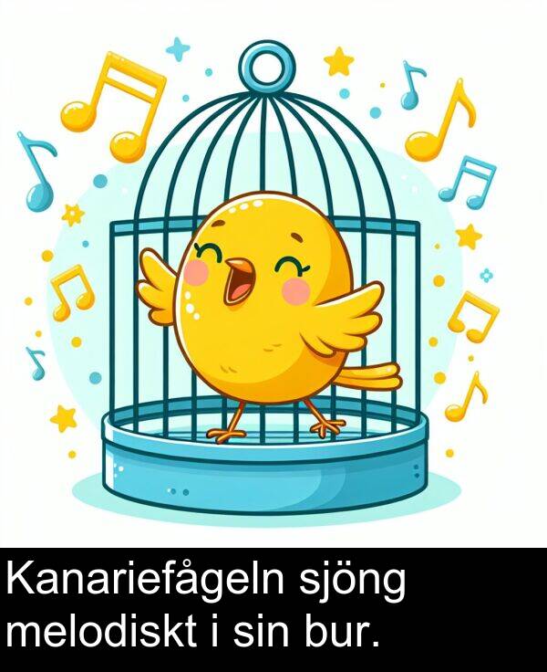 sin: Kanariefågeln sjöng melodiskt i sin bur.