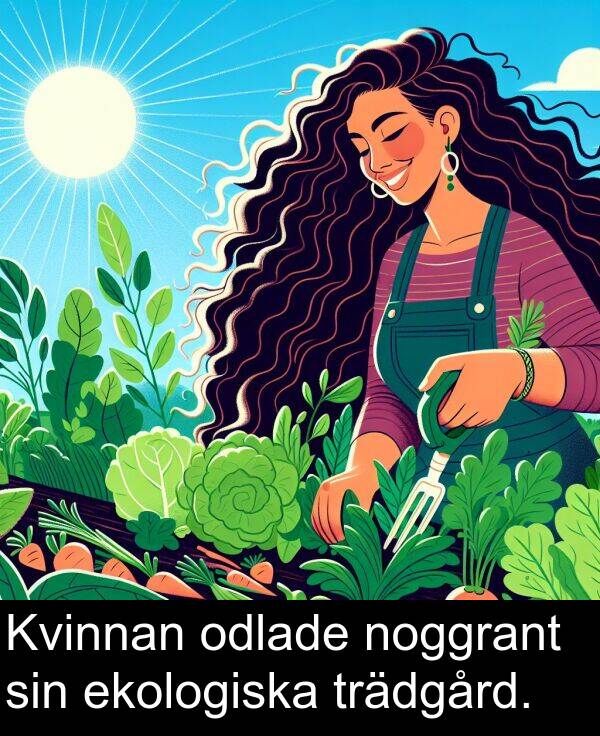 odlade: Kvinnan odlade noggrant sin ekologiska trädgård.