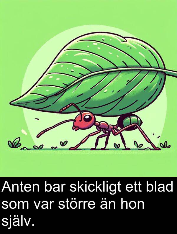 hon: Anten bar skickligt ett blad som var större än hon själv.