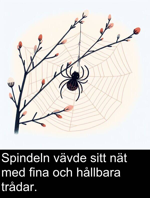 nät: Spindeln vävde sitt nät med fina och hållbara trådar.