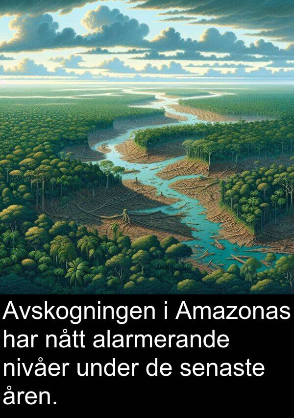 åren: Avskogningen i Amazonas har nått alarmerande nivåer under de senaste åren.