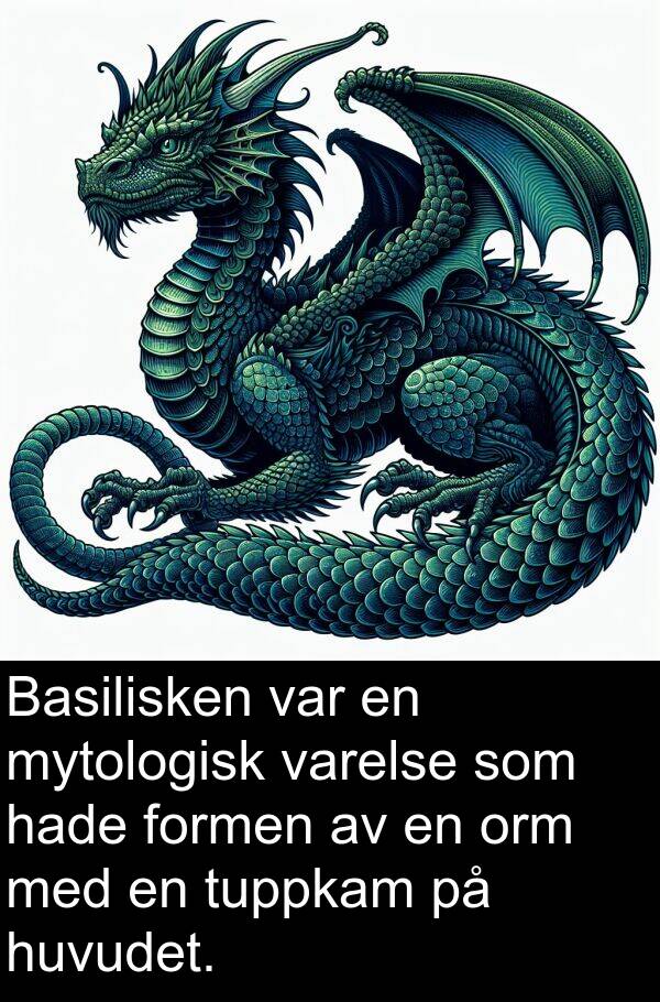 tuppkam: Basilisken var en mytologisk varelse som hade formen av en orm med en tuppkam på huvudet.