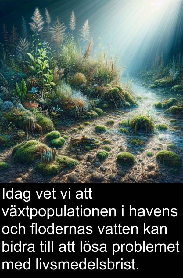 växtpopulationen: Idag vet vi att växtpopulationen i havens och flodernas vatten kan bidra till att lösa problemet med livsmedelsbrist.