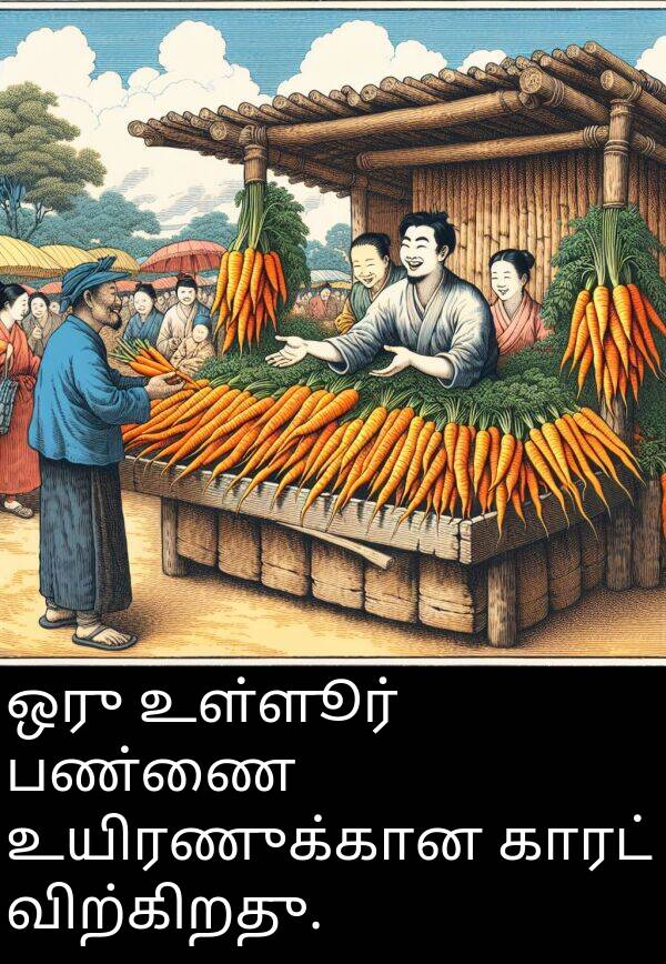காரட்: ஒரு உள்ளூர் பண்ணை உயிரணுக்கான காரட் விற்கிறது.
