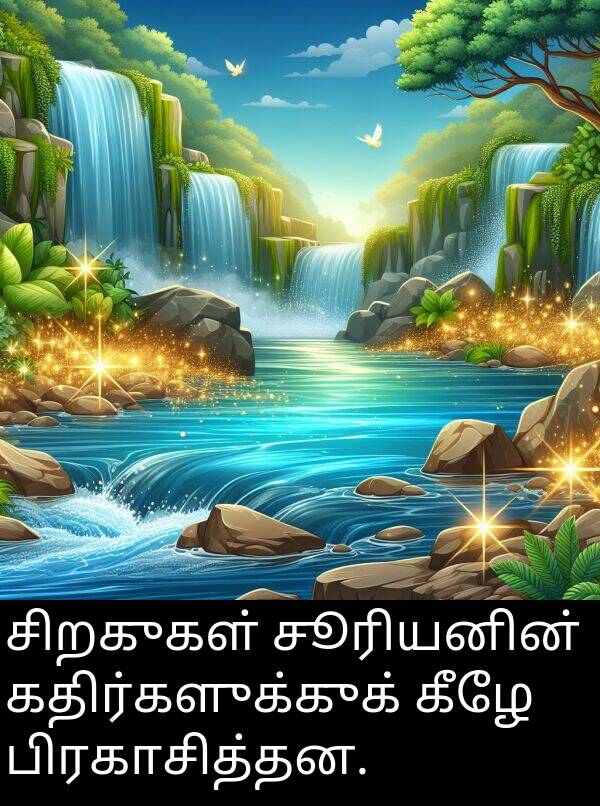பிரகாசித்தன: சிறகுகள் சூரியனின் கதிர்களுக்குக் கீழே பிரகாசித்தன.