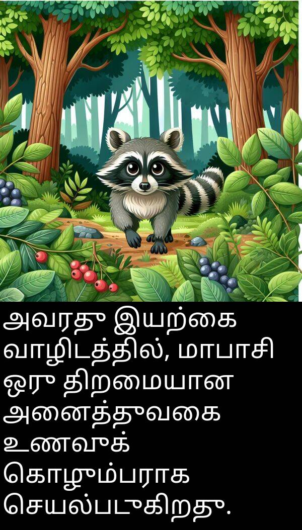 திறமையான: அவரது இயற்கை வாழிடத்தில், மாபாசி ஒரு திறமையான அனைத்துவகை உணவுக் கொழும்பராக செயல்படுகிறது.
