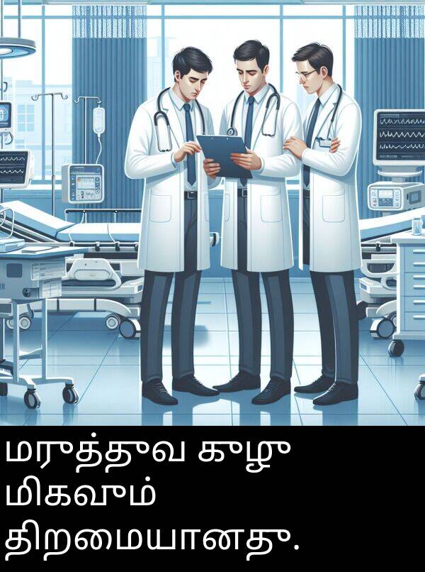 திறமையானது: மருத்துவ குழு மிகவும் திறமையானது.