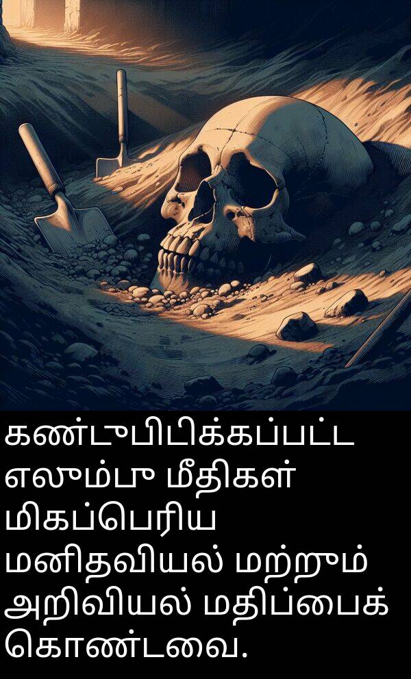 கொண்டவை: கண்டுபிடிக்கப்பட்ட எலும்பு மீதிகள் மிகப்பெரிய மனிதவியல் மற்றும் அறிவியல் மதிப்பைக் கொண்டவை.