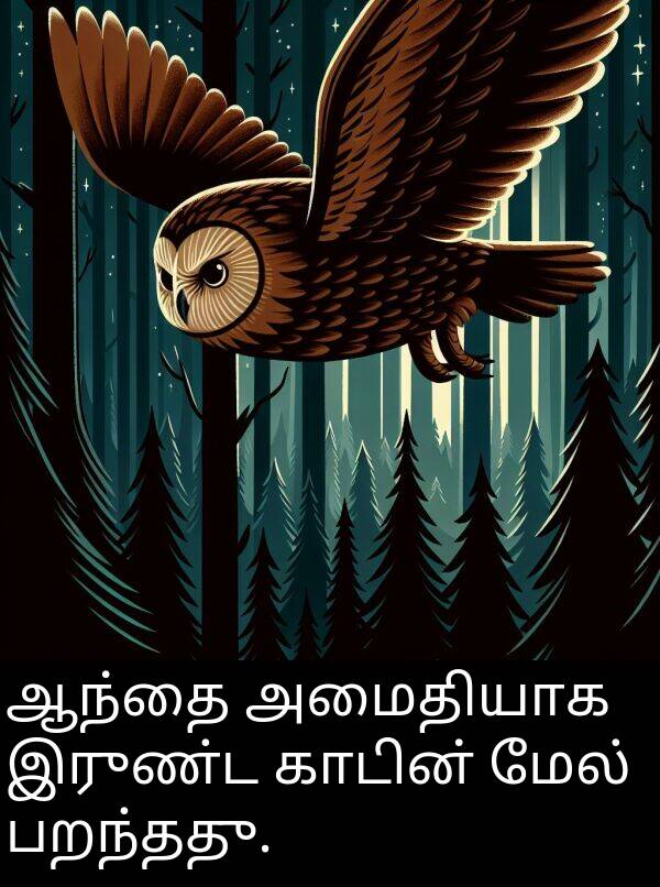 பறந்தது: ஆந்தை அமைதியாக இருண்ட காடின் மேல் பறந்தது.