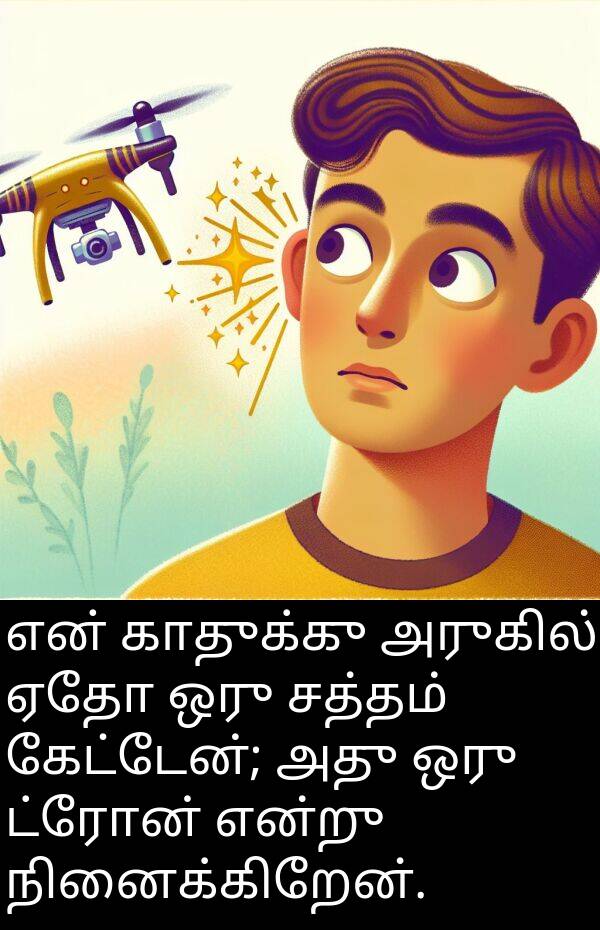 காதுக்கு: என் காதுக்கு அருகில் ஏதோ ஒரு சத்தம் கேட்டேன்; அது ஒரு ட்ரோன் என்று நினைக்கிறேன்.