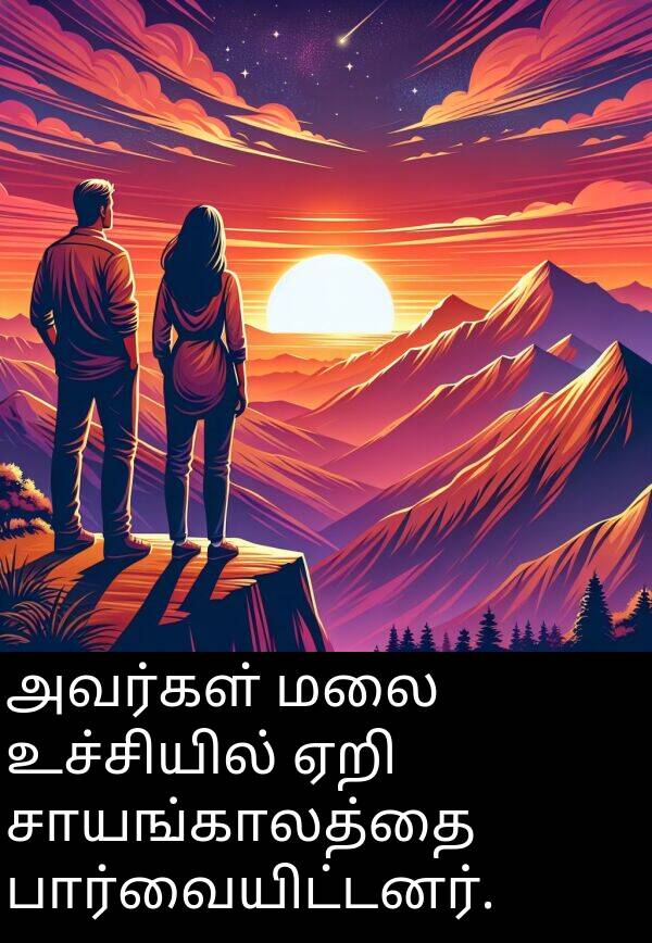 பார்வையிட்டனர்: அவர்கள் மலை உச்சியில் ஏறி சாயங்காலத்தை பார்வையிட்டனர்.