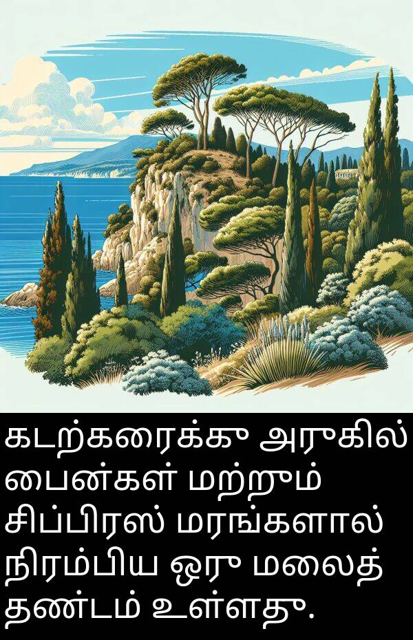 பைன்கள்: கடற்கரைக்கு அருகில் பைன்கள் மற்றும் சிப்பிரஸ் மரங்களால் நிரம்பிய ஒரு மலைத் தண்டம் உள்ளது.