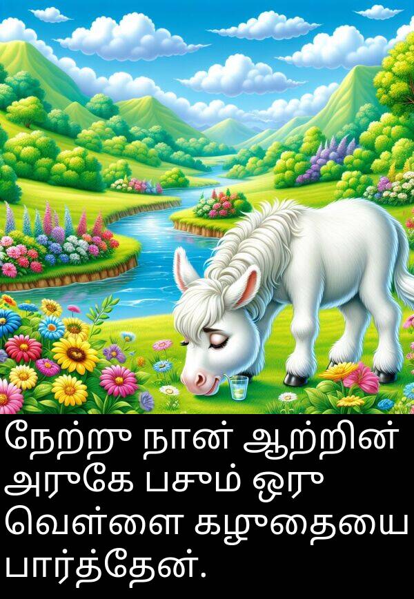 பார்த்தேன்: நேற்று நான் ஆற்றின் அருகே பசும் ஒரு வெள்ளை கழுதையை பார்த்தேன்.