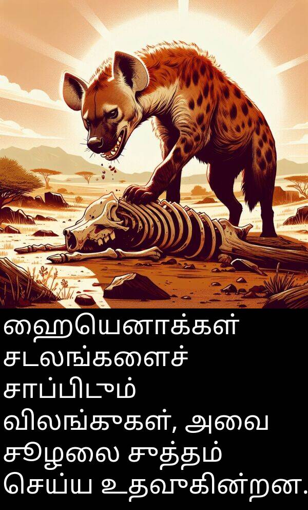 செய்ய: ஹையெனாக்கள் சடலங்களைச் சாப்பிடும் விலங்குகள், அவை சூழலை சுத்தம் செய்ய உதவுகின்றன.
