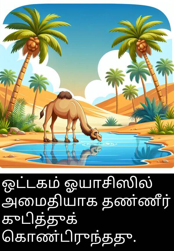 குடித்துக்: ஒட்டகம் ஓயாசிஸில் அமைதியாக தண்ணீர் குடித்துக் கொண்டிருந்தது.