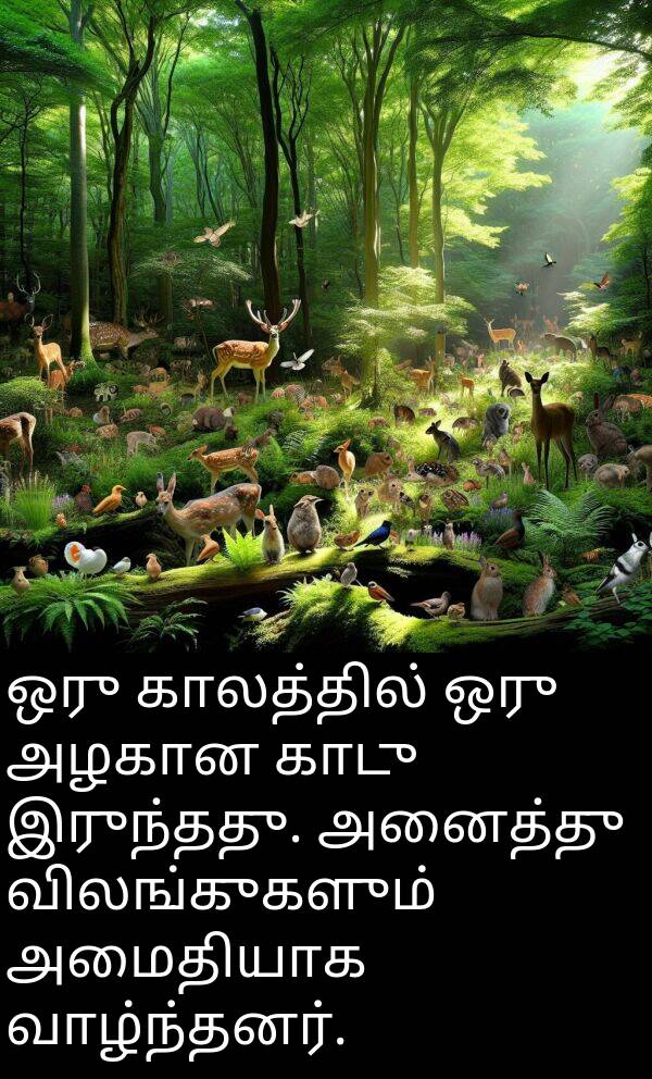 வாழ்ந்தனர்: ஒரு காலத்தில் ஒரு அழகான காடு இருந்தது. அனைத்து விலங்குகளும் அமைதியாக வாழ்ந்தனர்.