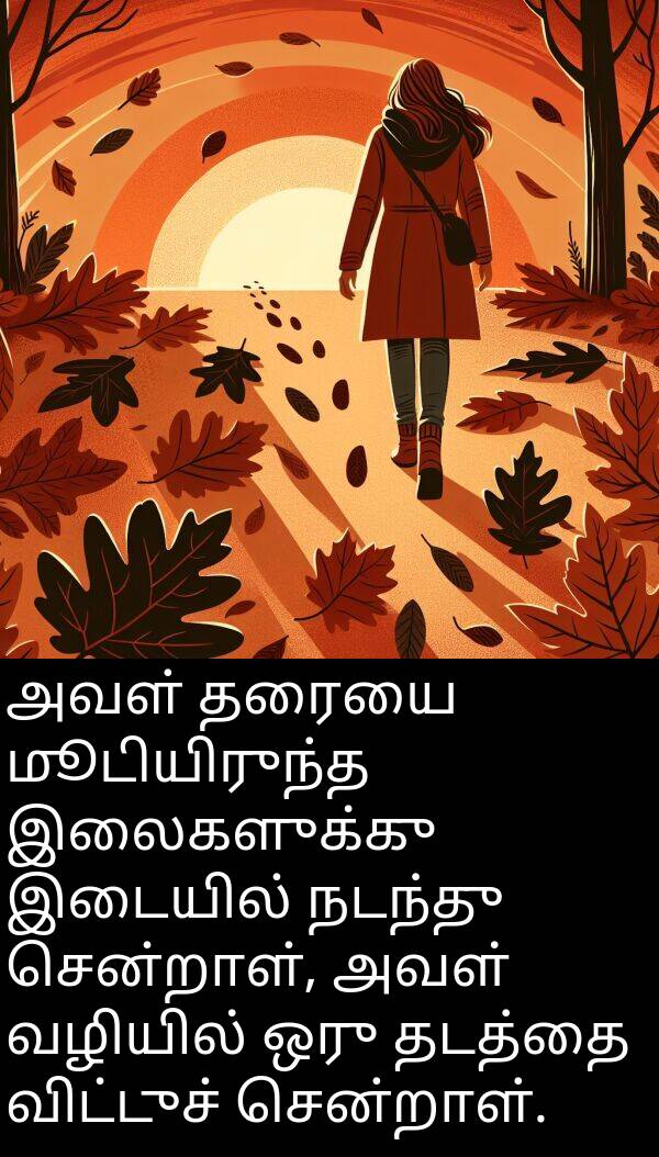 இலைகளுக்கு: அவள் தரையை மூடியிருந்த இலைகளுக்கு இடையில் நடந்து சென்றாள், அவள் வழியில் ஒரு தடத்தை விட்டுச் சென்றாள்.