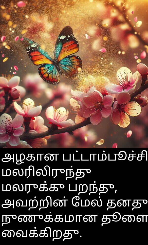 தூளை: அழகான பட்டாம்பூச்சி மலரிலிருந்து மலருக்கு பறந்து, அவற்றின் மேல் தனது நுணுக்கமான தூளை வைக்கிறது.