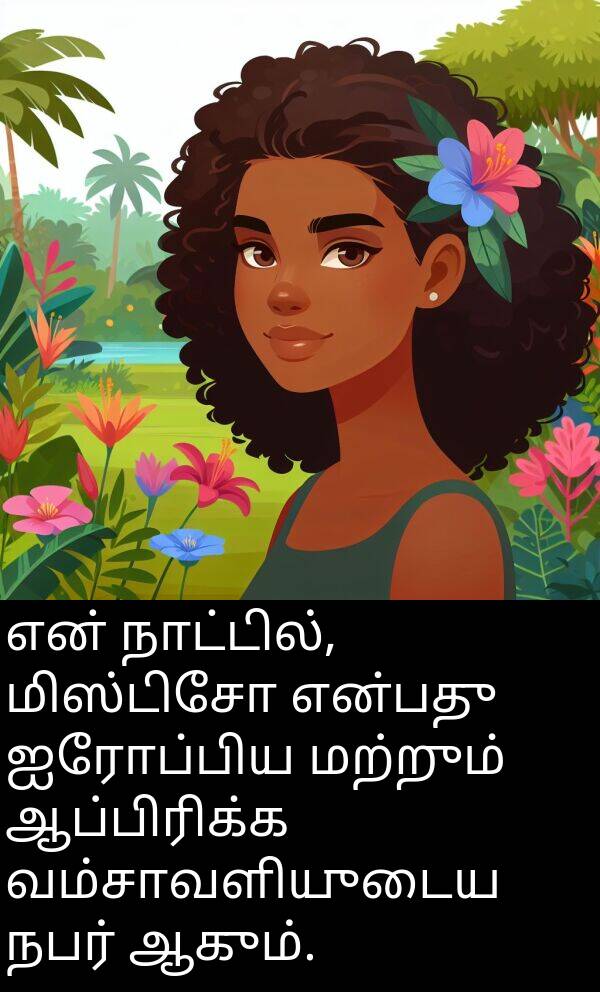 நாட்டில்: என் நாட்டில், மிஸ்டிசோ என்பது ஐரோப்பிய மற்றும் ஆப்பிரிக்க வம்சாவளியுடைய நபர் ஆகும்.