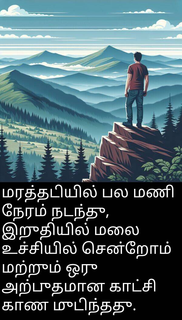 காண: மரத்தடியில் பல மணி நேரம் நடந்து, இறுதியில் மலை உச்சியில் சென்றோம் மற்றும் ஒரு அற்புதமான காட்சி காண முடிந்தது.
