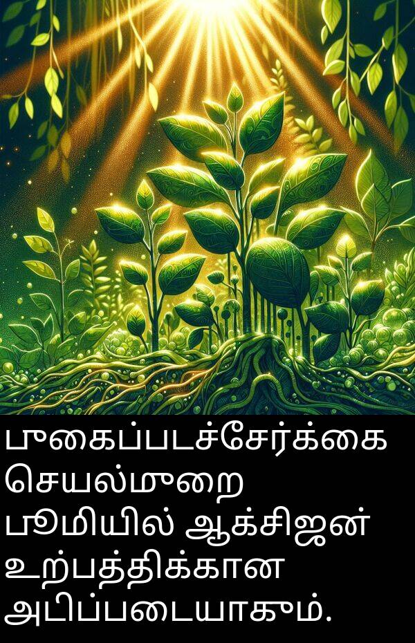 புகைப்படச்சேர்க்கை: புகைப்படச்சேர்க்கை செயல்முறை பூமியில் ஆக்சிஜன் உற்பத்திக்கான அடிப்படையாகும்.