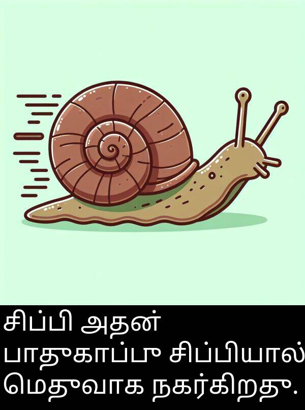 பாதுகாப்பு: சிப்பி அதன் பாதுகாப்பு சிப்பியால் மெதுவாக நகர்கிறது.