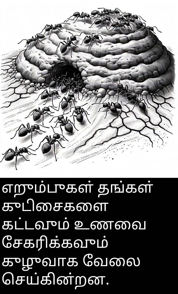 சேகரிக்கவும்: எறும்புகள் தங்கள் குடிசைகளை கட்டவும் உணவை சேகரிக்கவும் குழுவாக வேலை செய்கின்றன.
