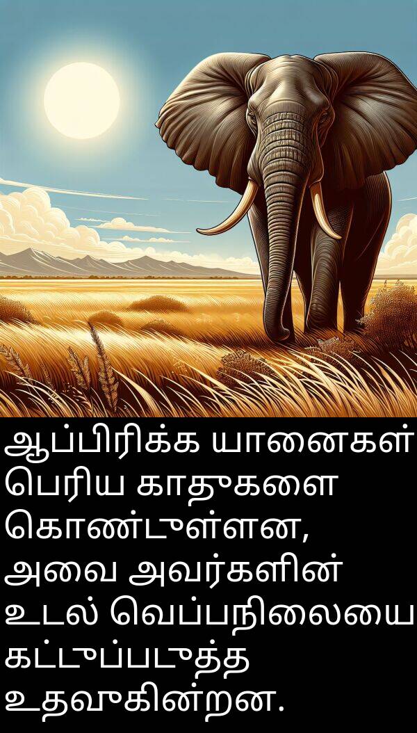 காதுகளை: ஆப்பிரிக்க யானைகள் பெரிய காதுகளை கொண்டுள்ளன, அவை அவர்களின் உடல் வெப்பநிலையை கட்டுப்படுத்த உதவுகின்றன.