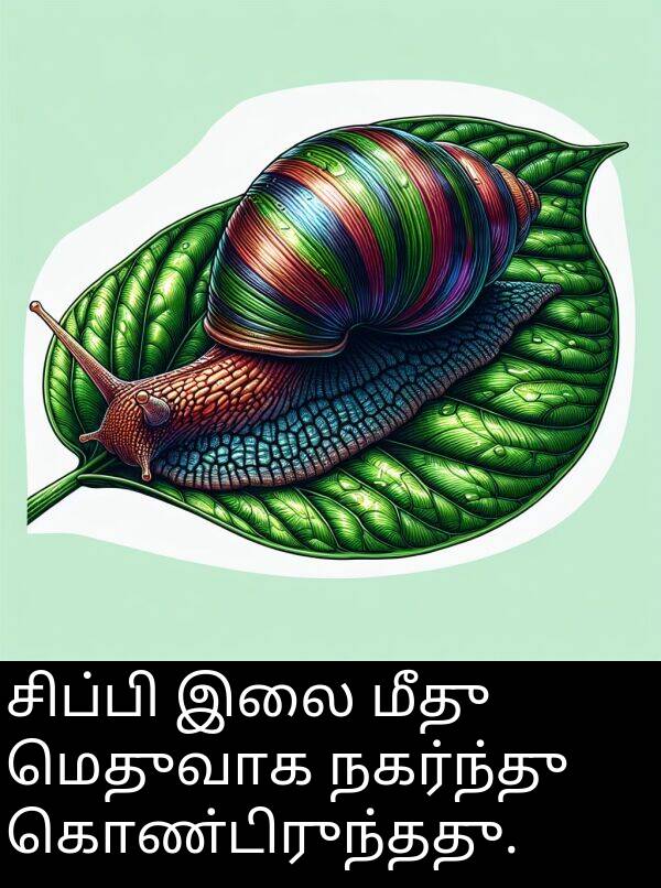 இலை: சிப்பி இலை மீது மெதுவாக நகர்ந்து கொண்டிருந்தது.