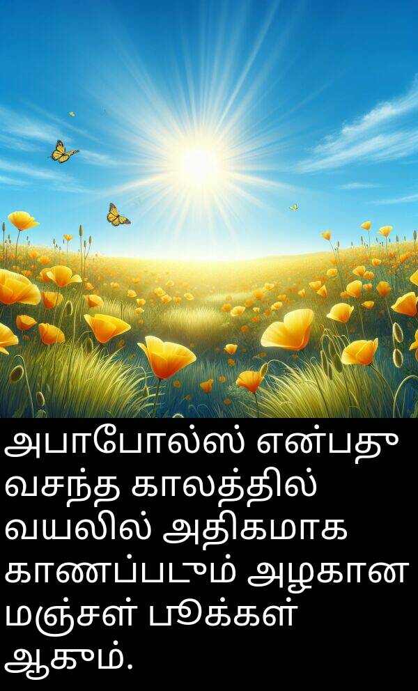 பூக்கள்: அபாபோல்ஸ் என்பது வசந்த காலத்தில் வயலில் அதிகமாக காணப்படும் அழகான மஞ்சள் பூக்கள் ஆகும்.