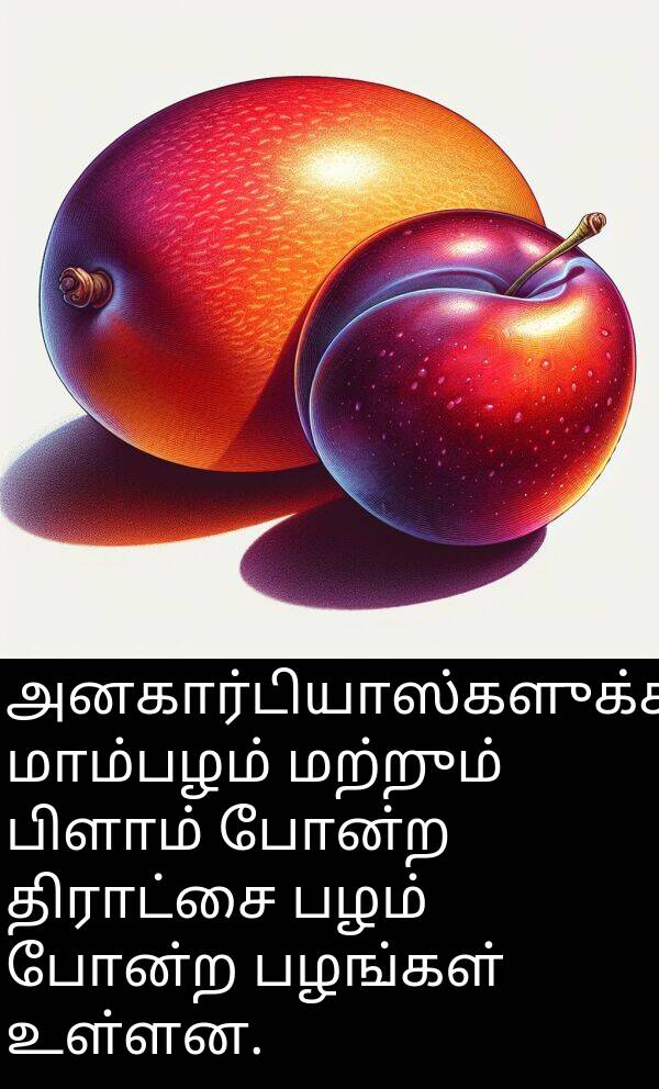 பழங்கள்: அனகார்டியாஸ்களுக்கு மாம்பழம் மற்றும் பிளாம் போன்ற திராட்சை பழம் போன்ற பழங்கள் உள்ளன.