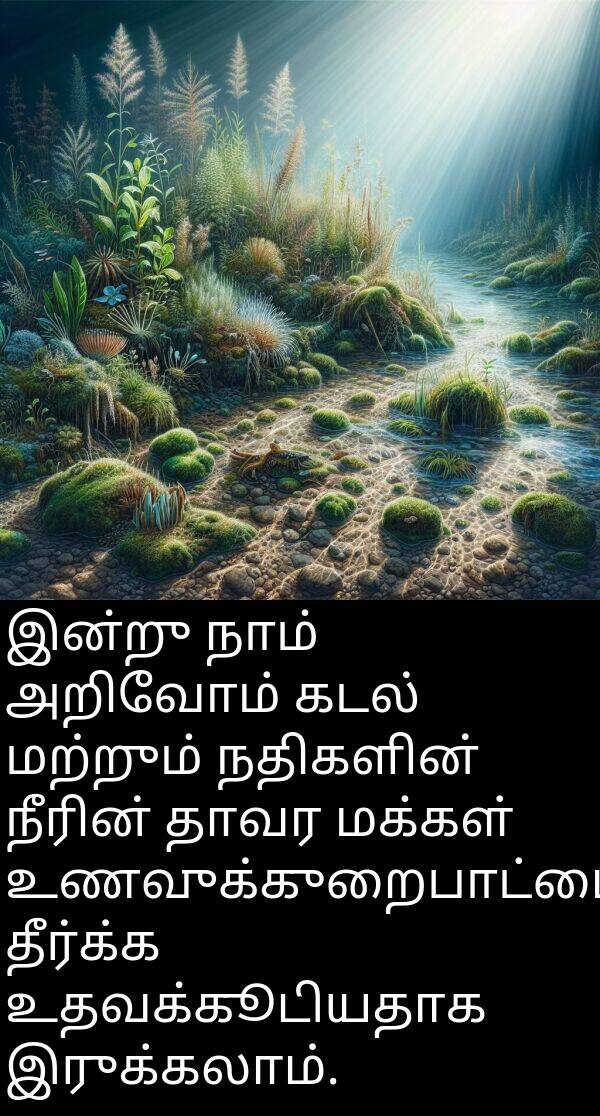 தீர்க்க: இன்று நாம் அறிவோம் கடல் மற்றும் நதிகளின் நீரின் தாவர மக்கள் உணவுக்குறைபாட்டை தீர்க்க உதவக்கூடியதாக இருக்கலாம்.