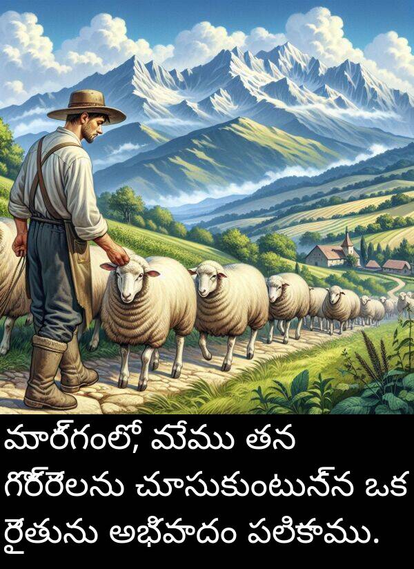 పలికాము: మార్గంలో, మేము తన గొర్రెలను చూసుకుంటున్న ఒక రైతును అభివాదం పలికాము.